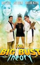 The Big Bust Theory izle