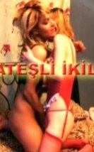 Ateşli İkili izle (2004)