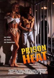 Prison Heat izle (1993)